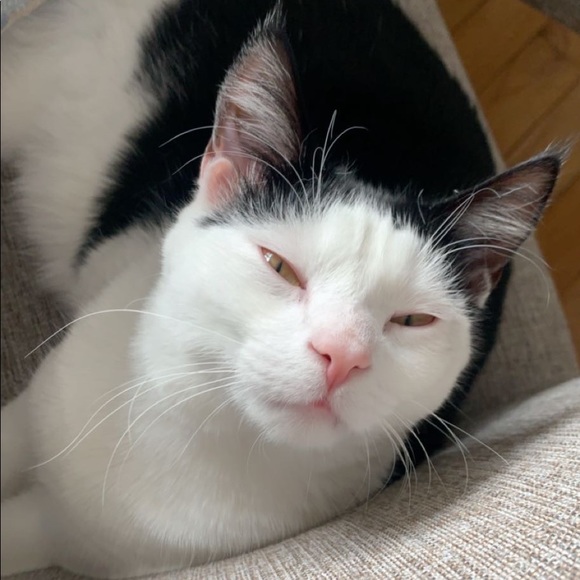 Meet your Posher, Liana - Picture 1 of 1